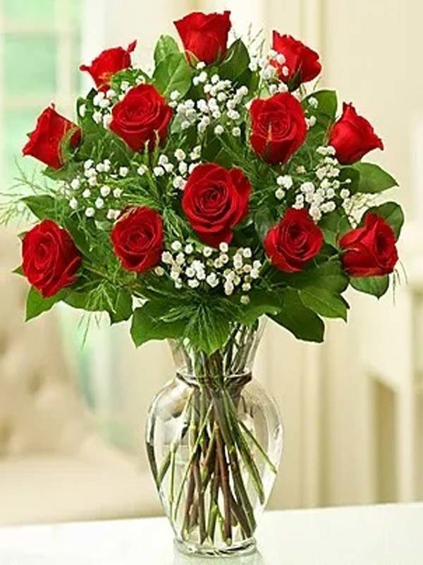 Classic Elegance Premium Long-Stem Roses - Red